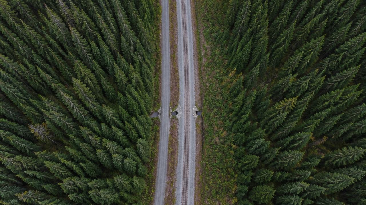 Nadir aerial view of a rail corridor and access road through dense forest